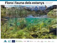 Flora i fauna dels estanys